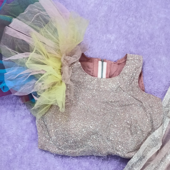 multicolored layered lehanga with crop top and dupatta - Picture 3 of 5